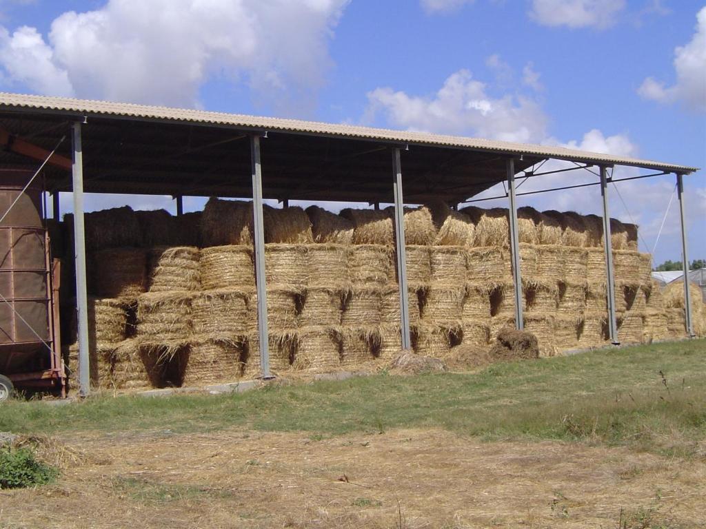 Agriturismo Agrifoglio San Giovanni Suèrgiu Eksteriør bilde